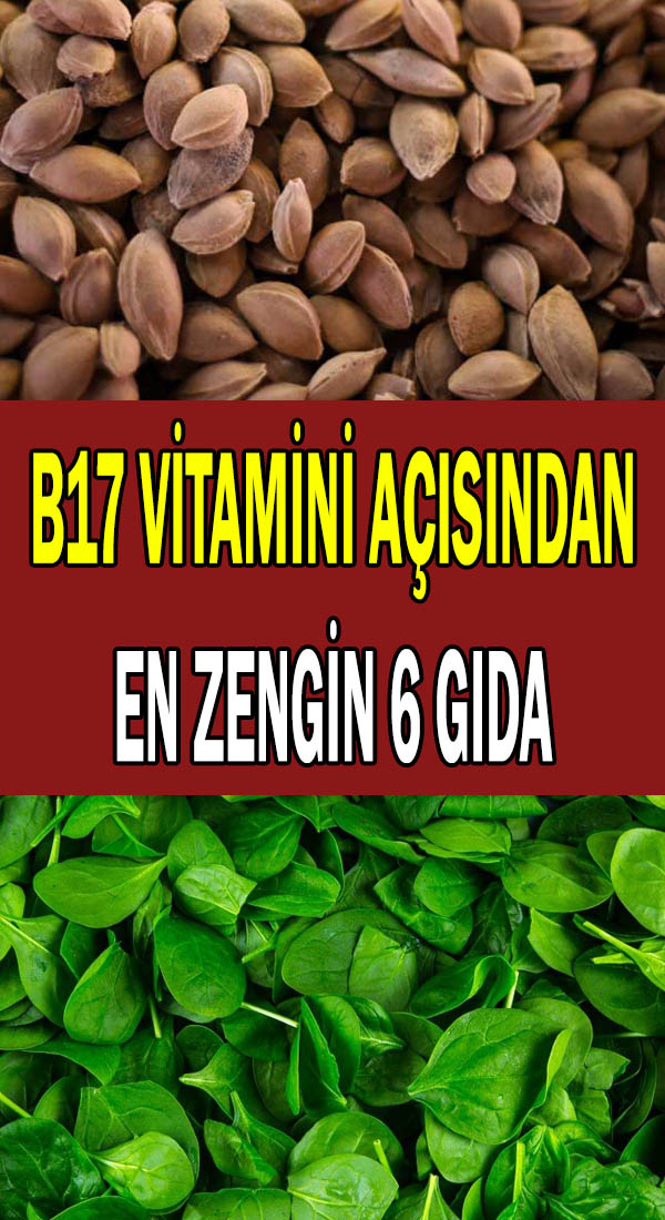 B17 vitamini açısından en zengin gıdalar