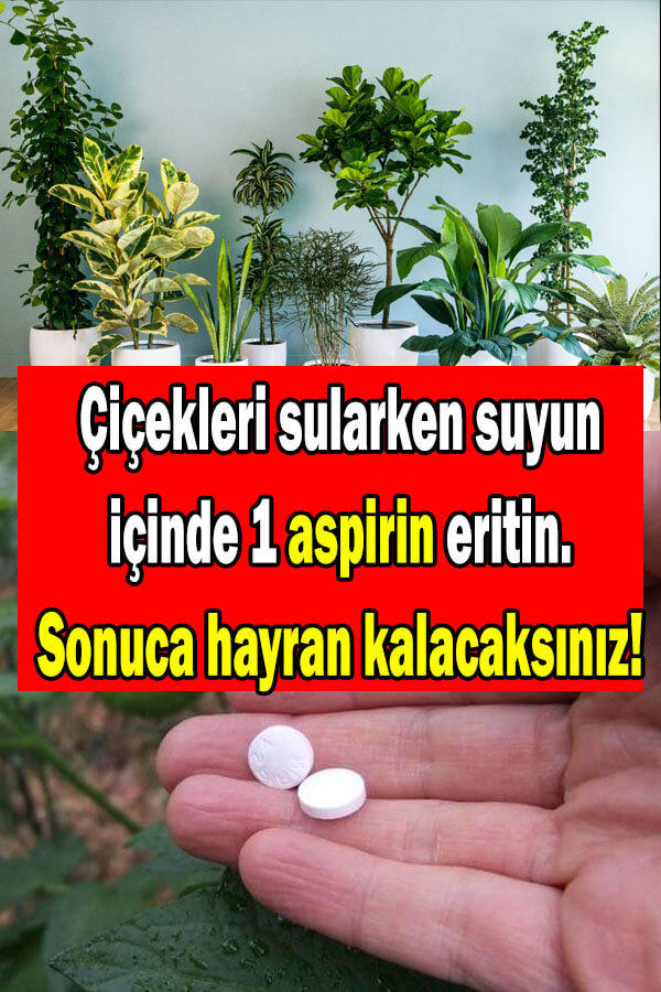 aspirinin çiçek ve bitkilere faydaları