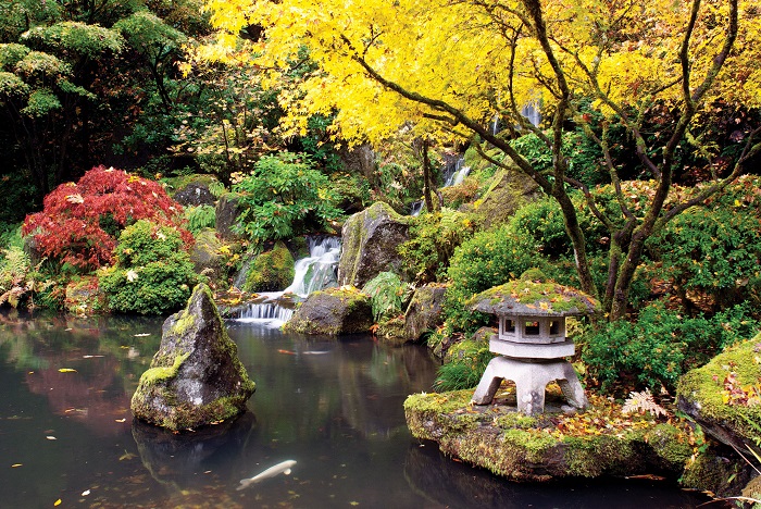 portland oregon japon bahçesi