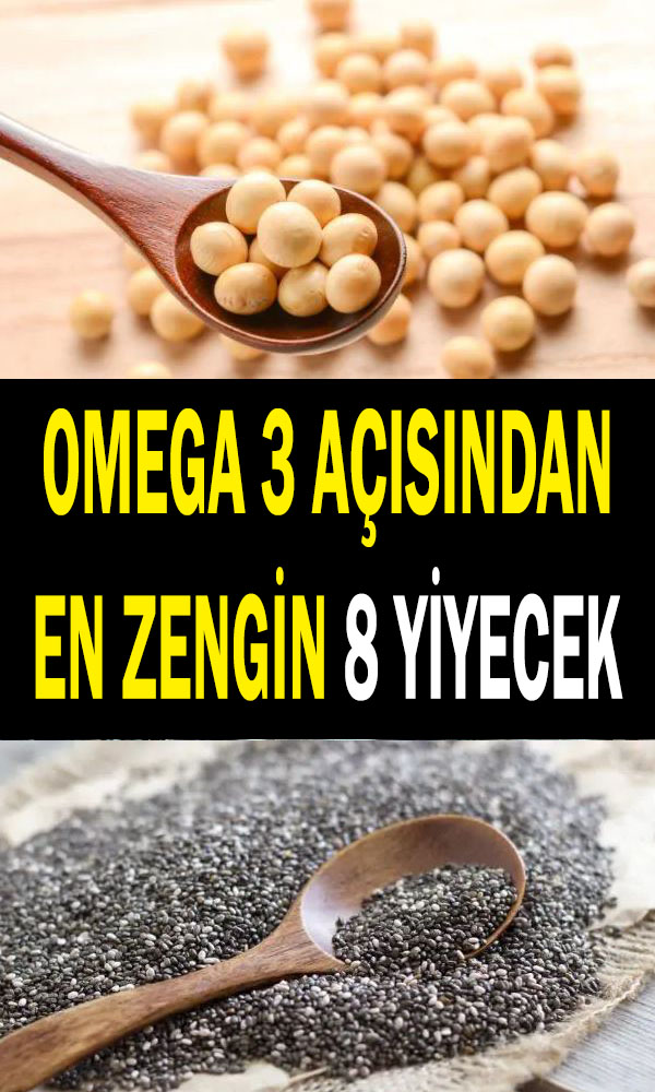 omega 3 açısından en zengin yiyecekler